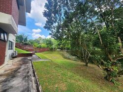 Windsor Park (D20), Detached #485214691